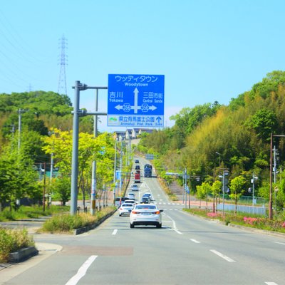 ウッディタウン中央駅