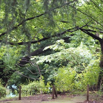 こどものひろば公園