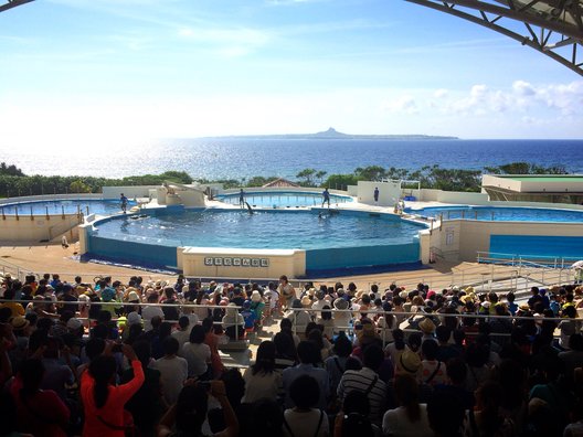 沖縄美ら海水族館