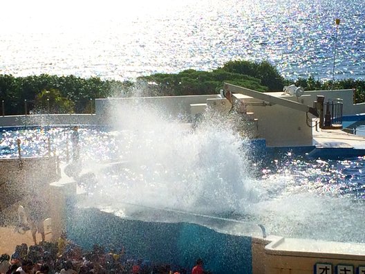 沖縄美ら海水族館