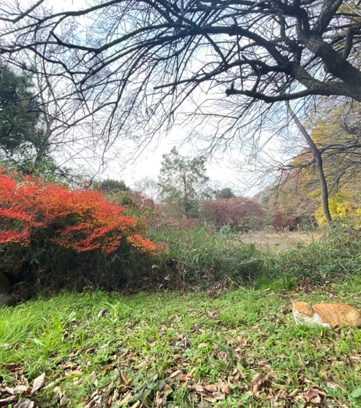 じゅん菜池緑地公園