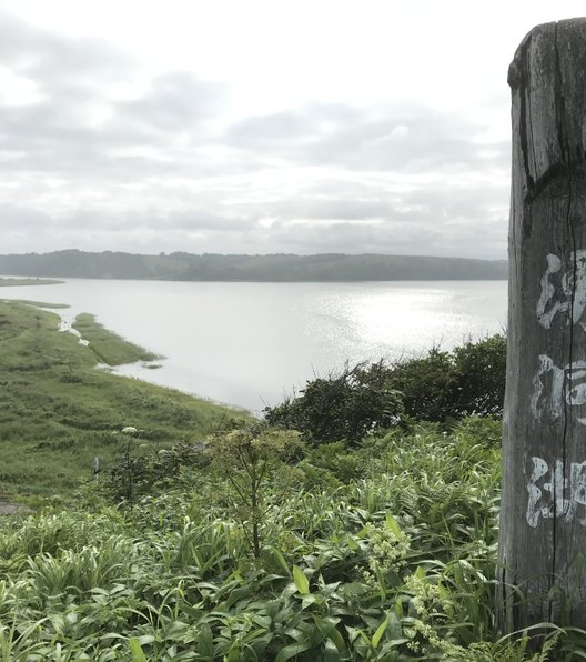 湧洞湖(湧洞沼)