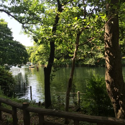 井の頭恩賜公園