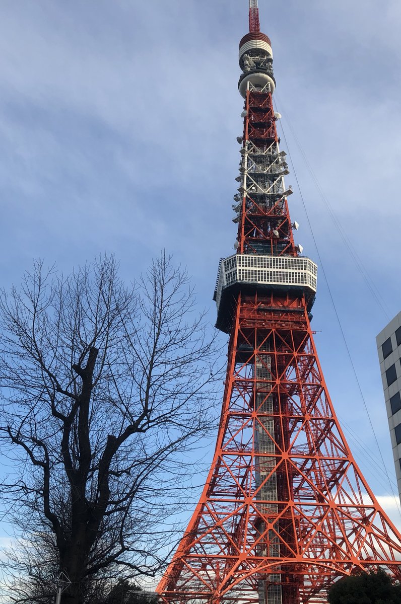 TOWER'S DINER