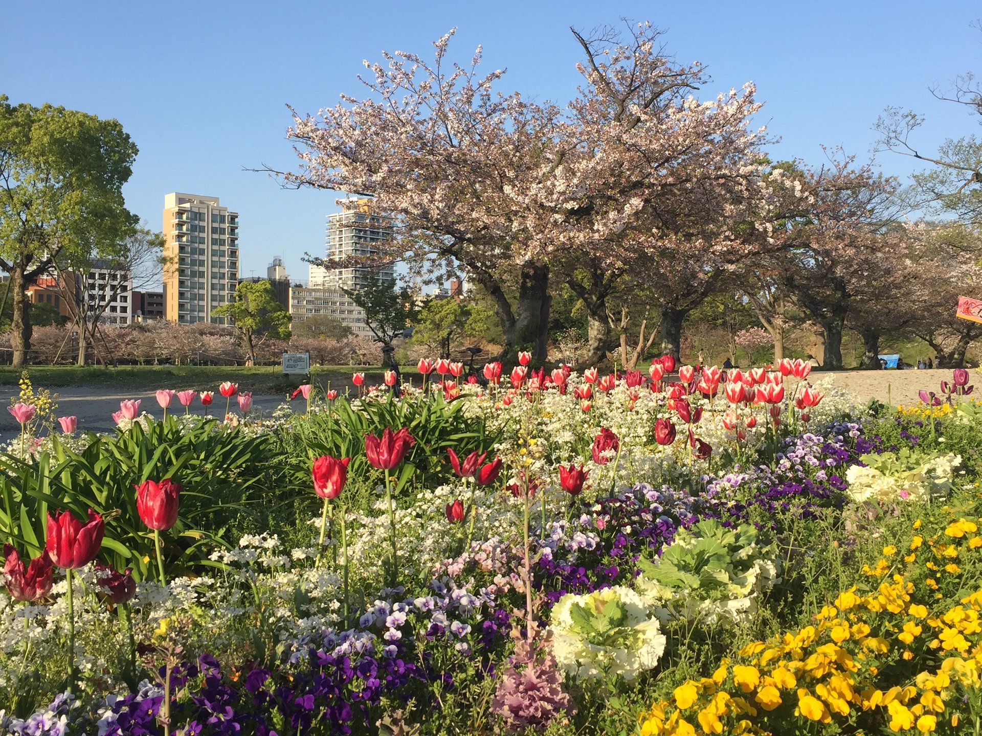 福岡観光「大濠公園」で花見&デートにもお勧めの景色の良いカフェ
