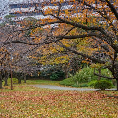 旧芝離宮恩賜庭園