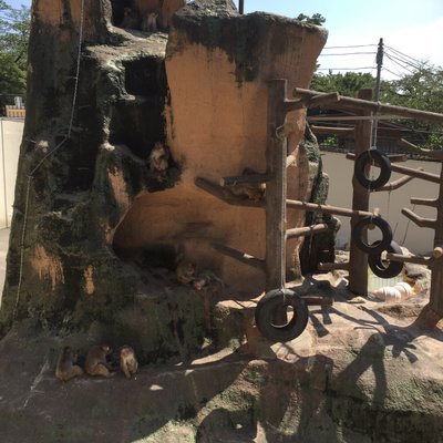 桐生が岡動物園