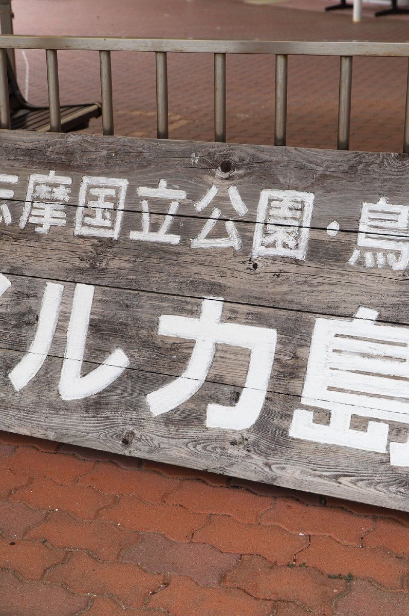 イルカ島 水族館