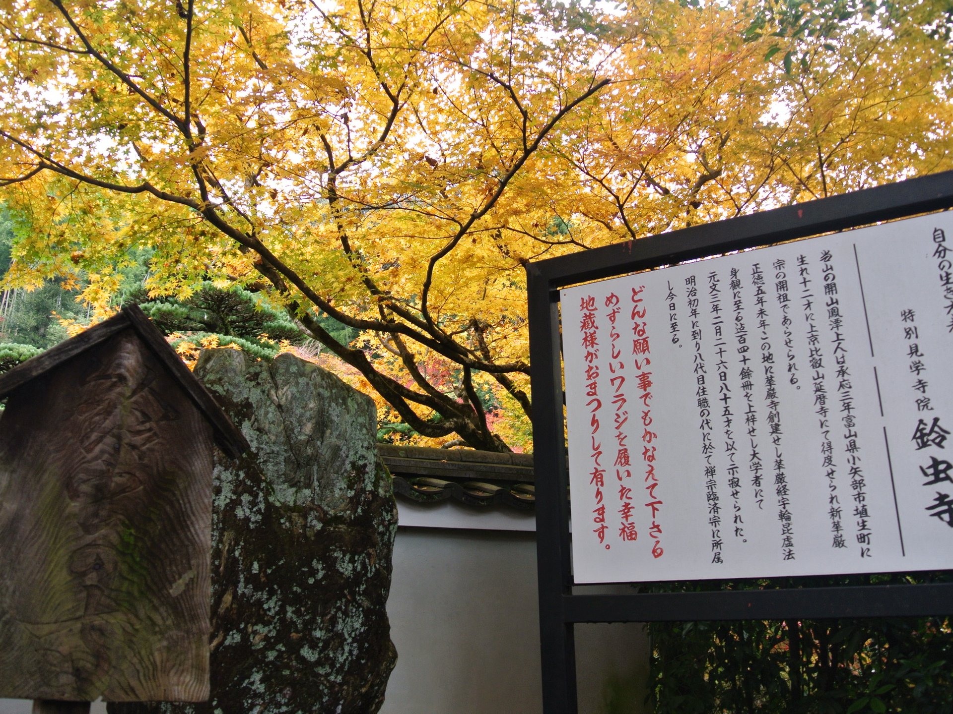 日本でここだけ！一年中鈴虫が鳴いている京都のお寺【鈴虫寺】とは？