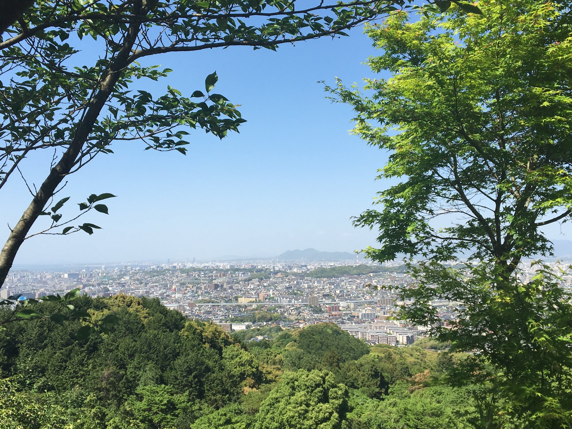 油山観音からの福岡市内一望できる景色は最高☆
人も少なくゆっくり過ごせるドライブスポット。