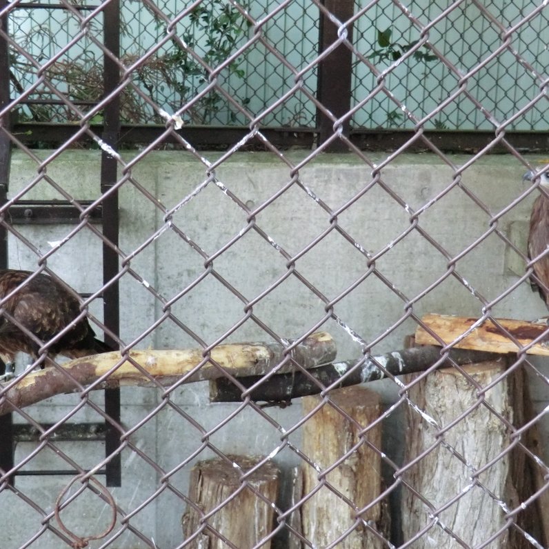 須坂市動物園