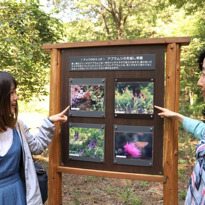 赤城自然園