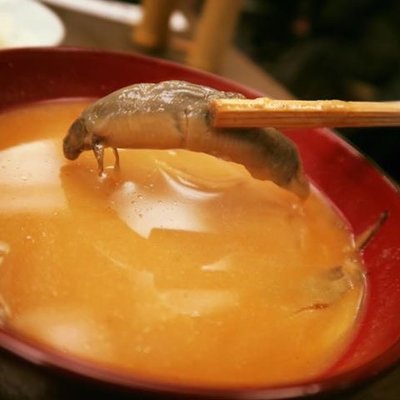 駒形どぜう 本店