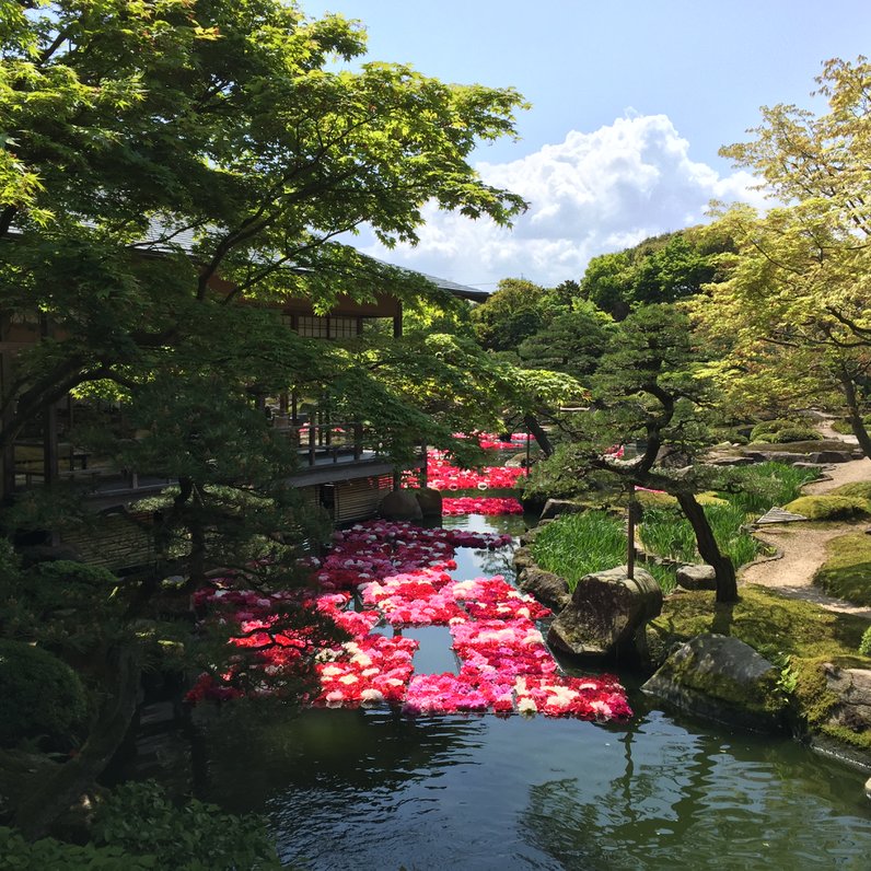 八束町・由志園入口/松江市営バス