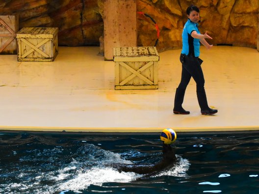 鳥羽水族館