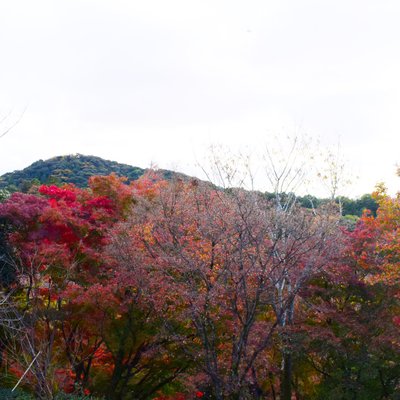 清水寺