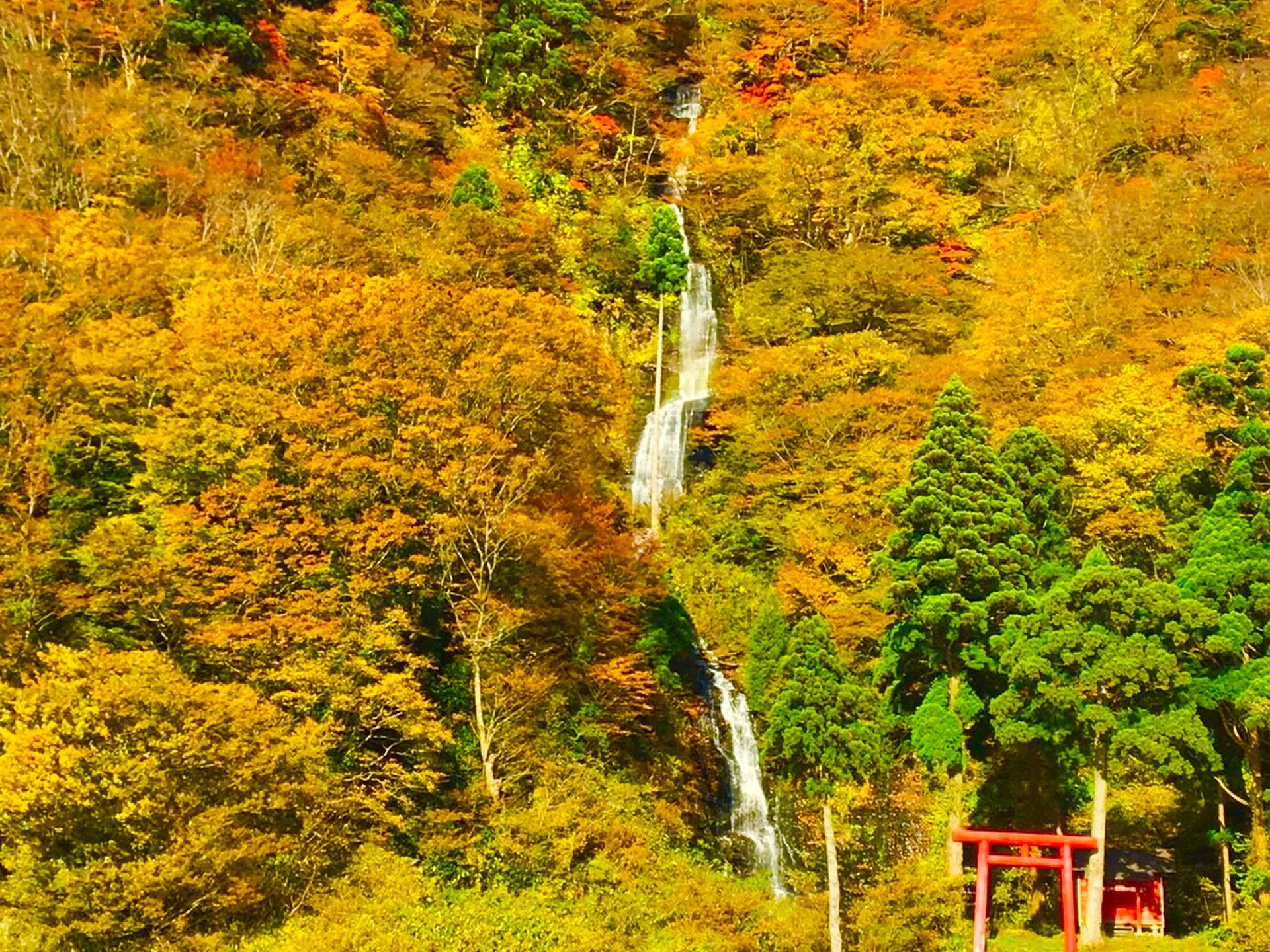 【山形の秋といえばこれ】東北旅行で行こう！最上峡舟下りで楽しむ白糸の滝と紅葉