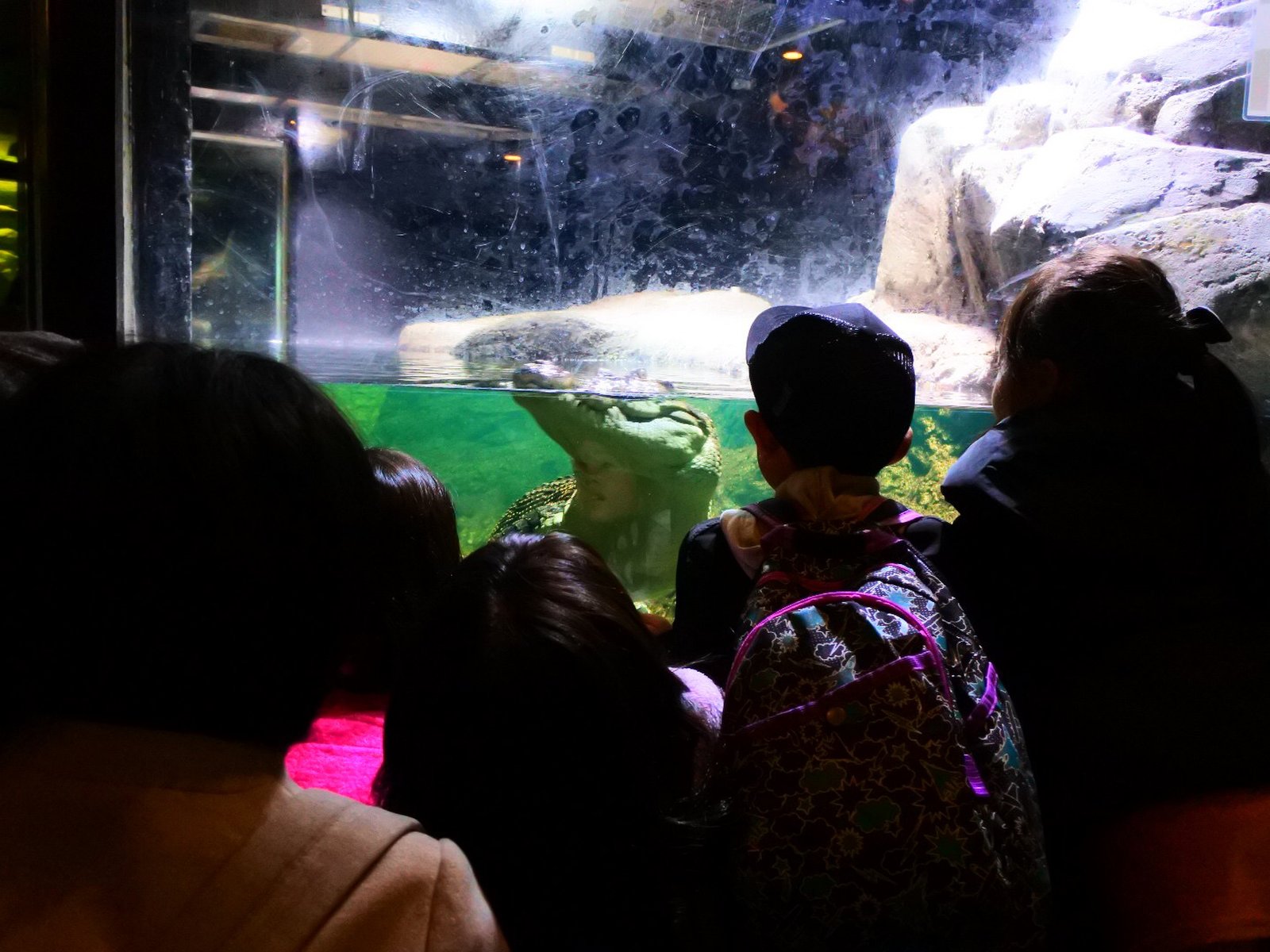 【閉園】神戸市立須磨海浜水族園