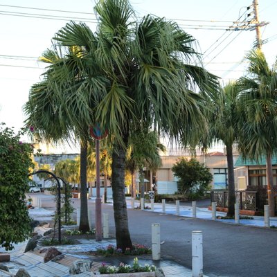 青島駅