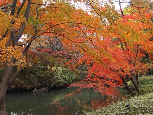 六義園