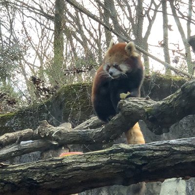 東京都多摩動物公園