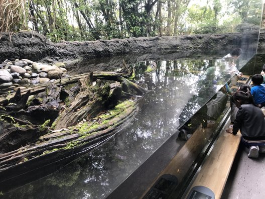 琵琶湖博物館