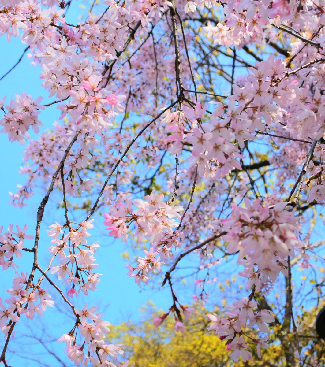 大阪城公園