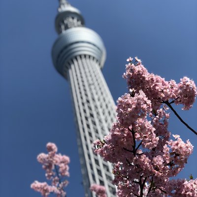東京スカイツリー 天望回廊