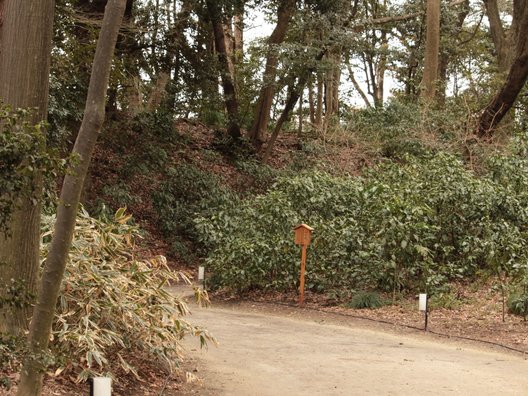 六義園 千鳥橋