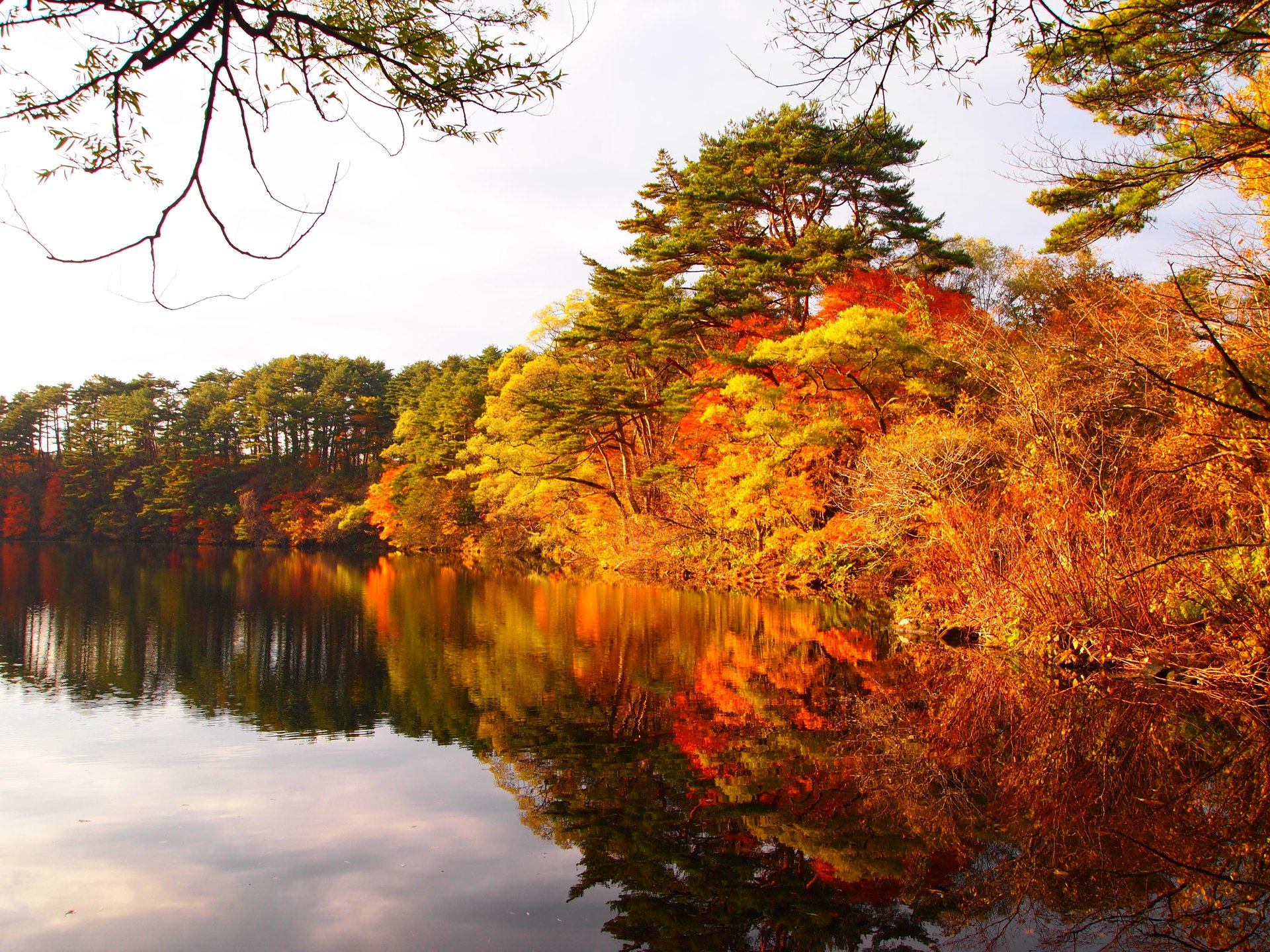秋の絶景7選！カメラ好きは絶対に行きたくなる、写真映えがスペシャルな日本の紅葉