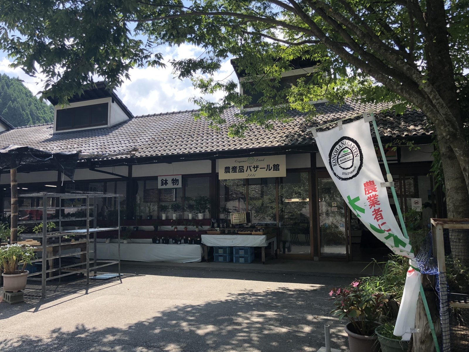 木の花ガルテン オーガニック農園 大山本店