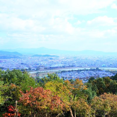 嵐山モンキーパークいわたやま