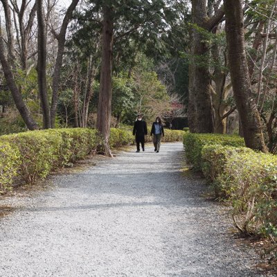 修善寺自然公園