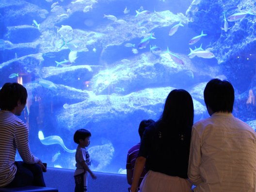 すみだ水族館