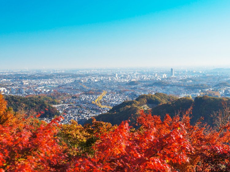 高尾山はケーブルカーを使えばラクラク 絶景と絶品そばを楽しむ初心者ハイキングをご紹介 Playlife プレイライフ