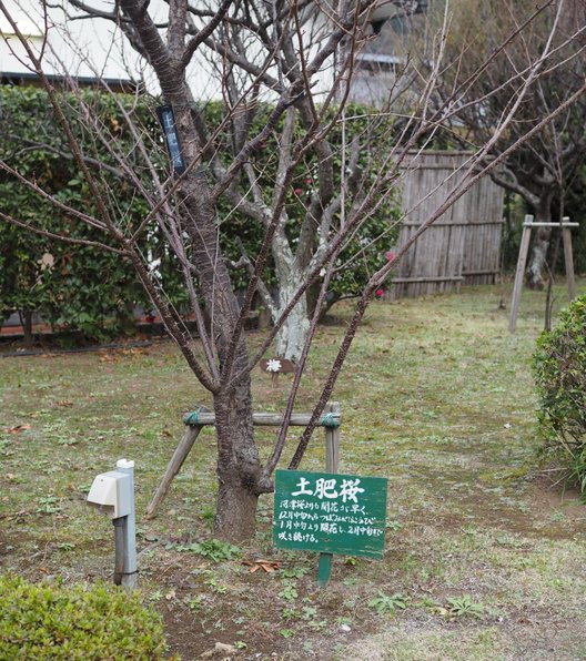 西伊豆 土肥金山（といきんざん）