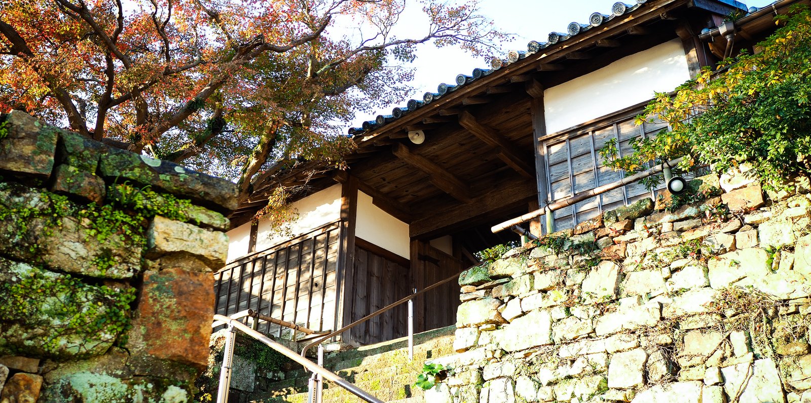 宿坊 対馬 西山寺