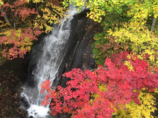 恵庭渓谷(ラルマナイ自然公園)