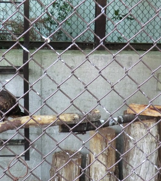 須坂市動物園