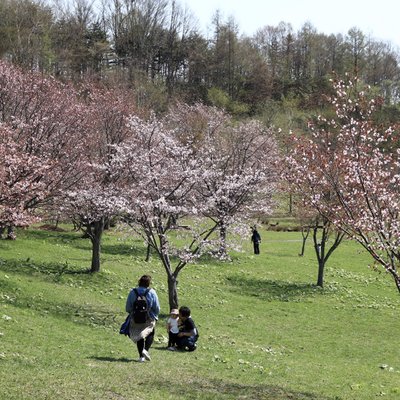 奈井江町にわ山森林自然公園