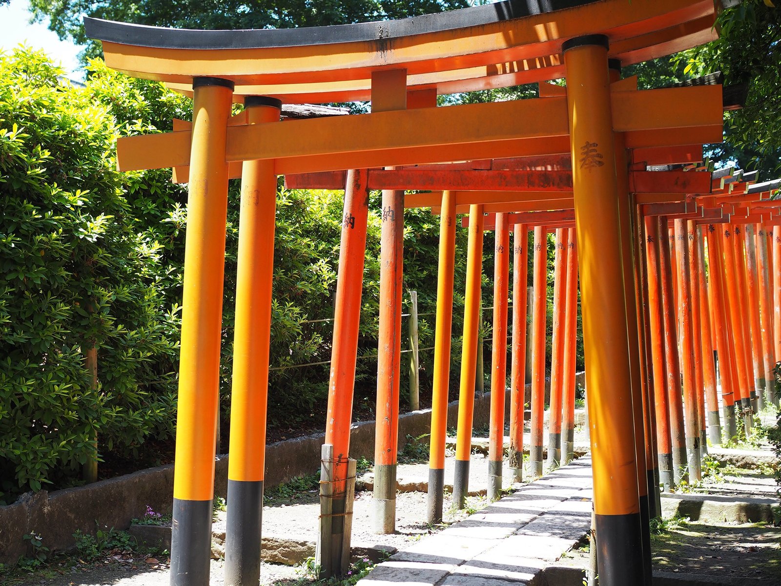 根津神社