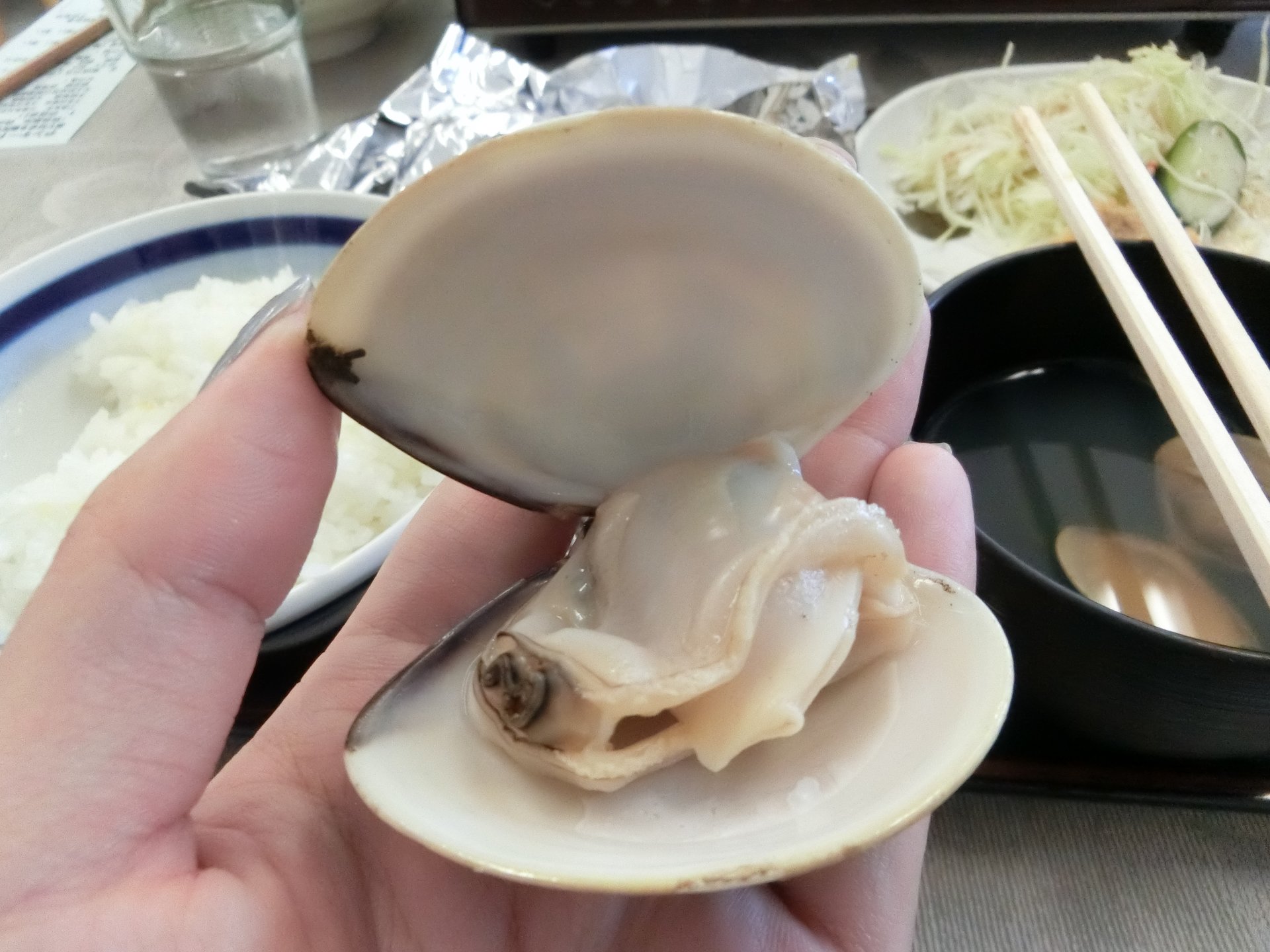 桑名名物・特大はまぐりに舌鼓！三重県「はまぐりプラザ」の食堂で、はまぐり三昧の大満足ランチ