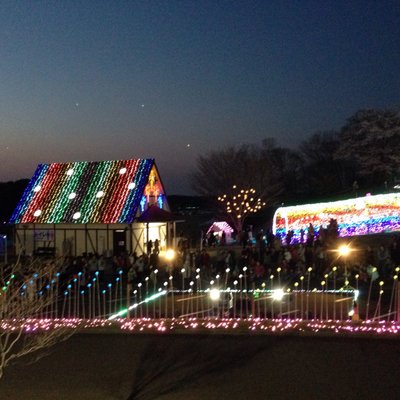 東京ドイツ村