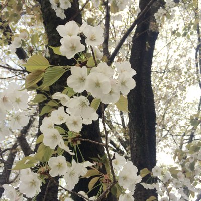 都立駒沢オリンピック公園