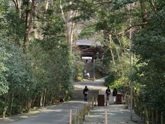 妙本寺