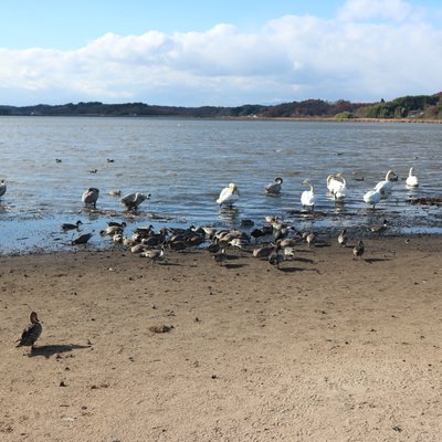 栗原市サンクチュアリセンターつきだて館(昆虫館)