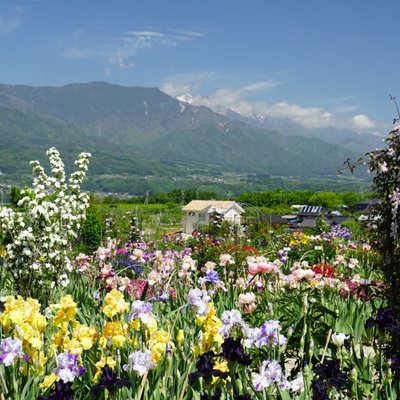 豊丘村　アイリス園