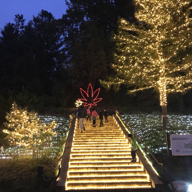 国営武蔵丘陵森林公園