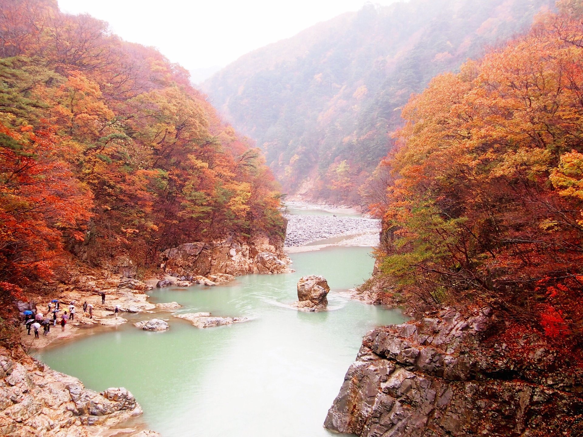 【紅葉2015】秋の栃木がすごい！紅葉&パワースポット&食を楽しむ栃木旅！