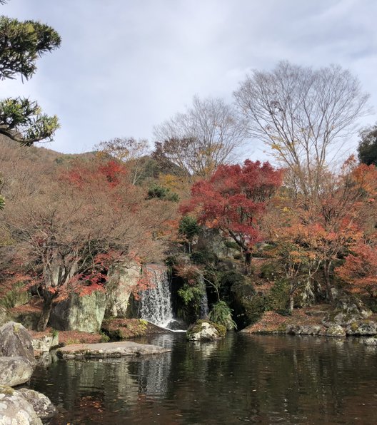 耶馬渓ダム記念公園 渓石園